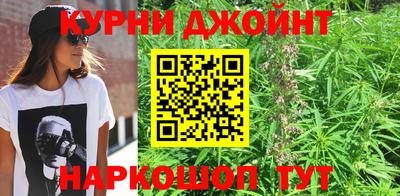 амф Жуковский